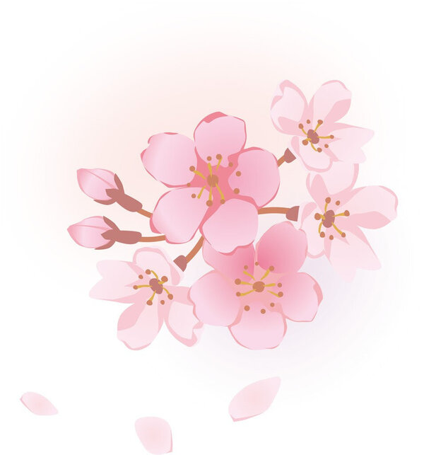 桜depositphotos_10238439-stock-illustration-beautiful-sacura.jpg